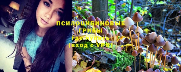 марки nbome Карпинск