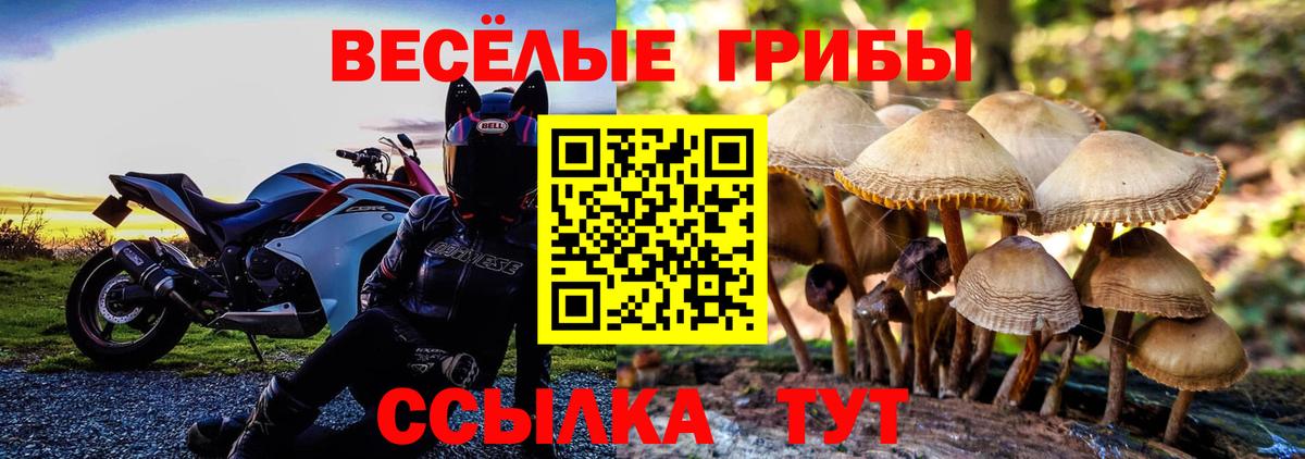 Галлюциногенные грибы MAGIC MUSHROOMS Северодвинск